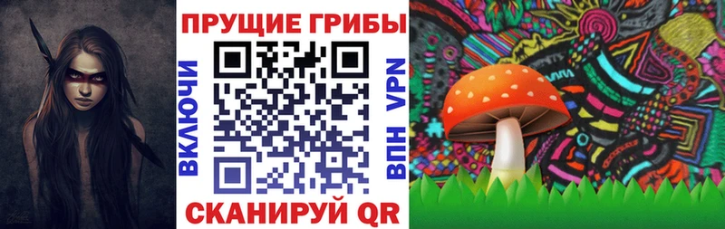 где найти   Тайга  Псилоцибиновые грибы мицелий 